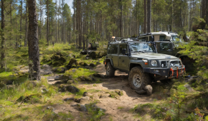Image that illustrates Secure Your Summer Drives – Exclusive Offer on Summer Tires at Dack-online.com