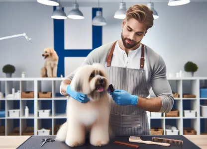 Bild som illustrerar 